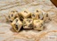 Polyhedral 7-Dice Set CHX27402 - Marble Ivory/Black